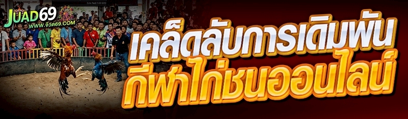 กีฬาไก่ชนออนไลน์