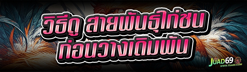 สายพันธุ์ไก่ชนออนไลน์